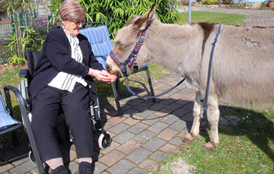 Senioren- und Therapiezentrum Haus Burgwedel